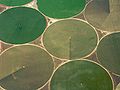 Crop circles north of Umatilla, Oregon, USA.jpg